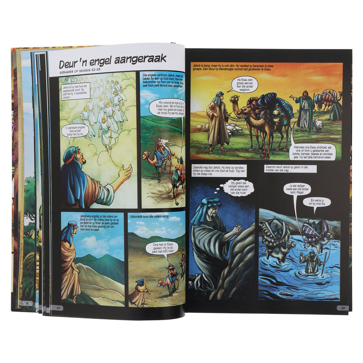 Die Aksie-Bybel (Hardeband)