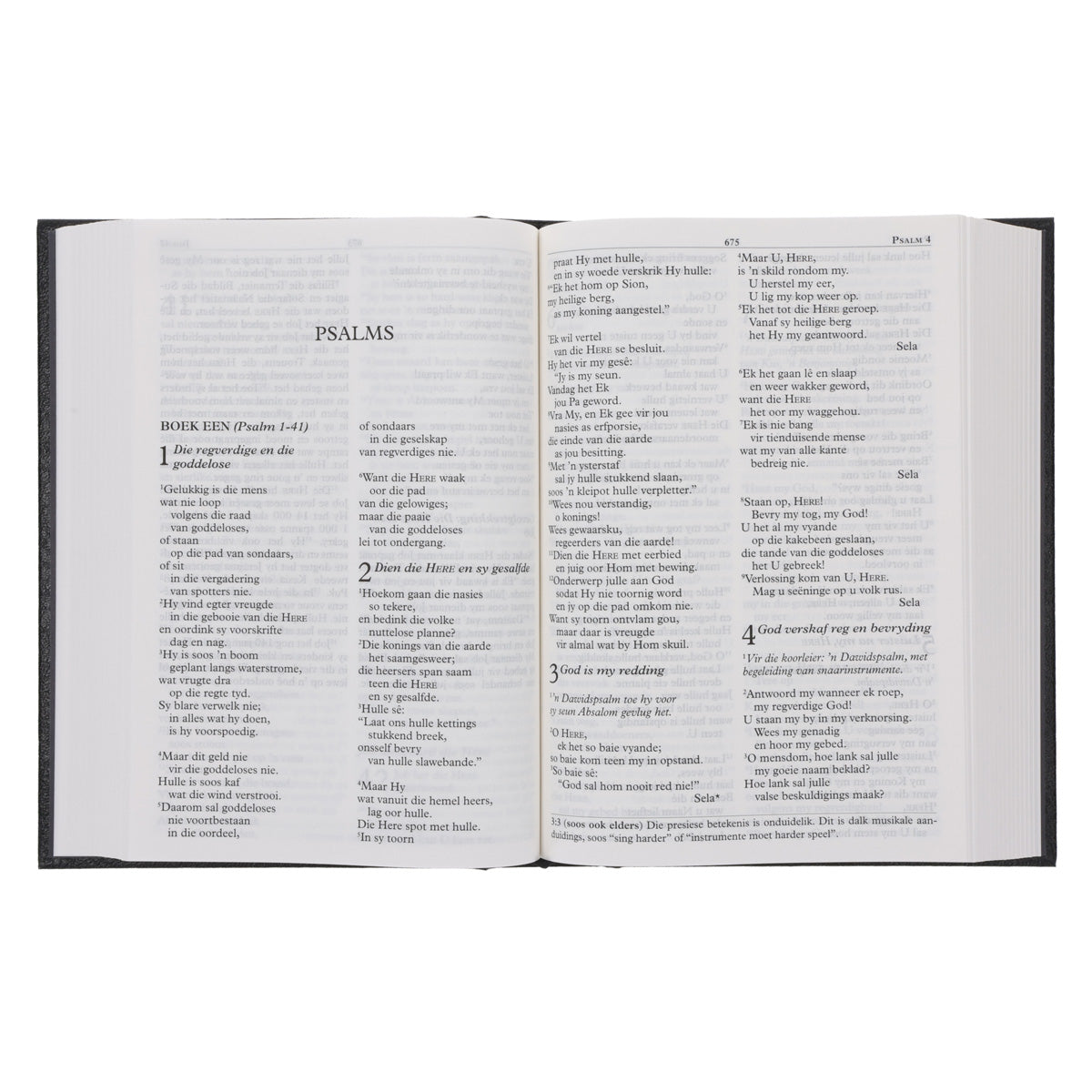 NLV Swart Hardeband Grootdruk Bybel