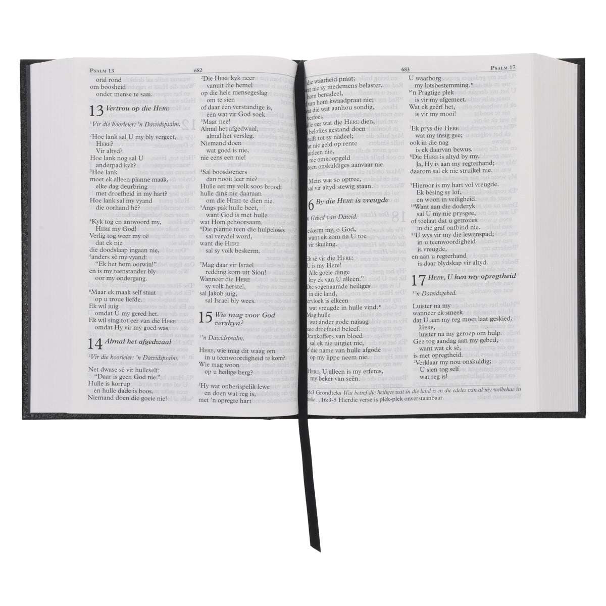 NLV Swart Hardeband Grootdruk Bybel