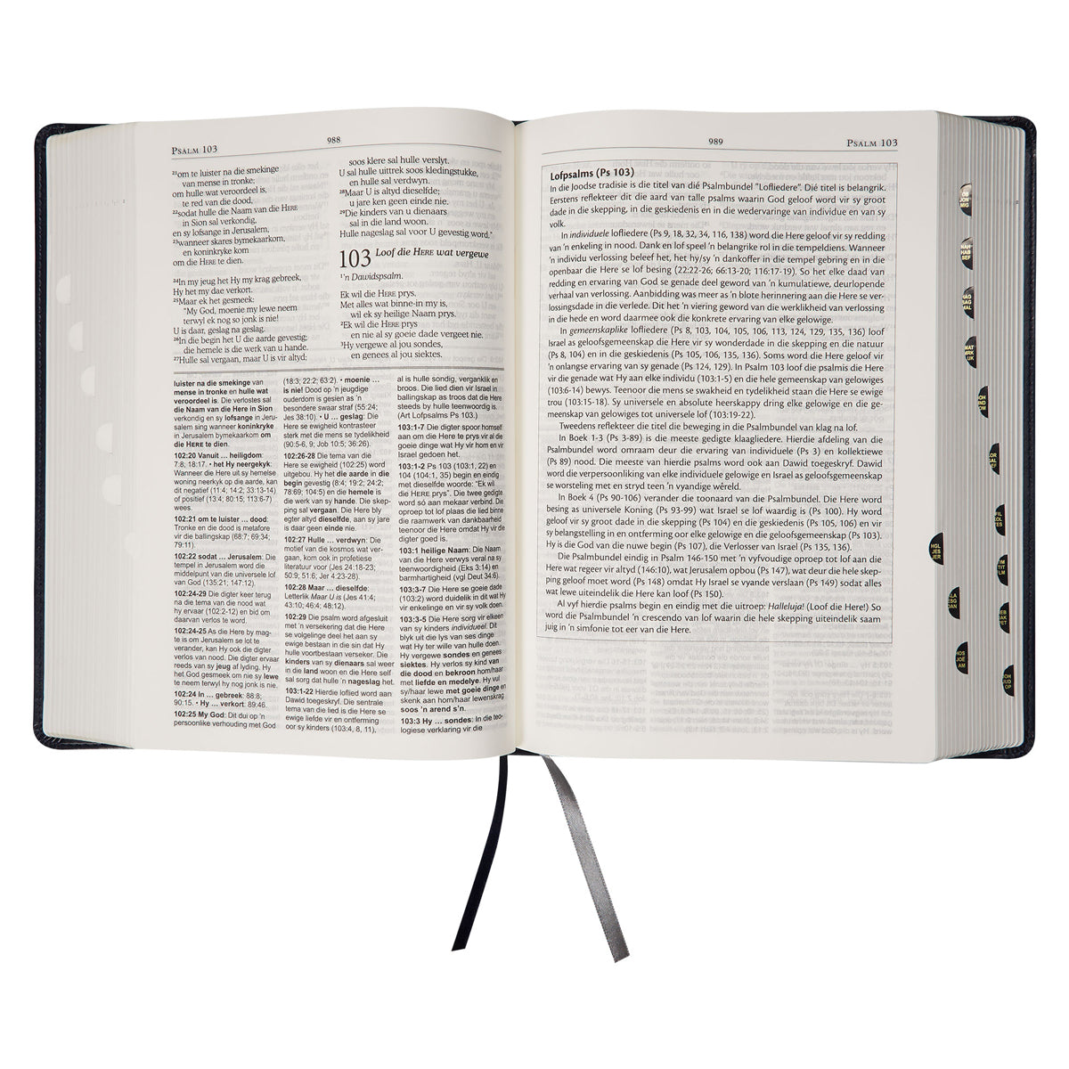 NLV Donkerblou Kunsleer Tematiese Studiebybel Met Duimgrepe