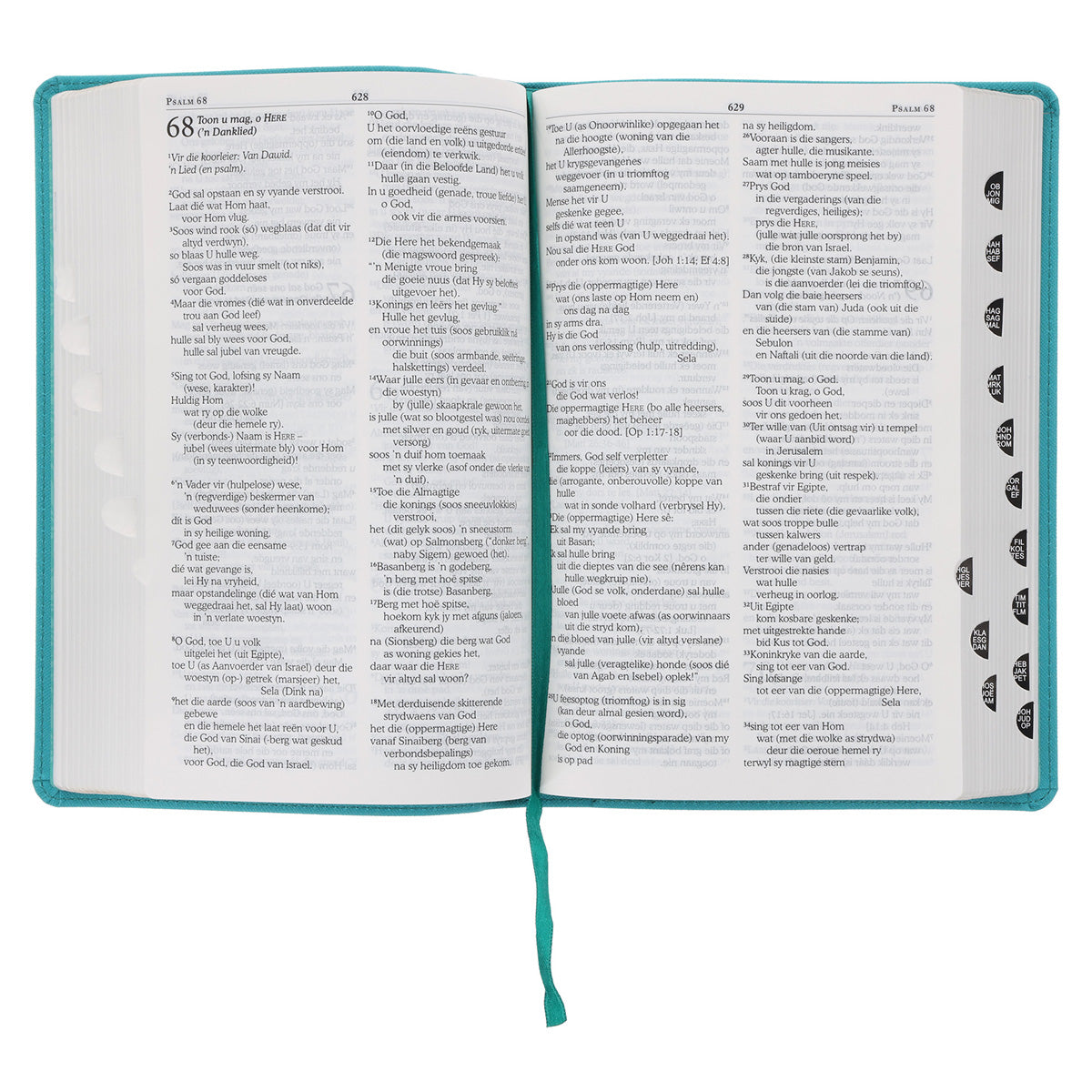 NLV Blougroen Kunsleer Toeligtingsbybel