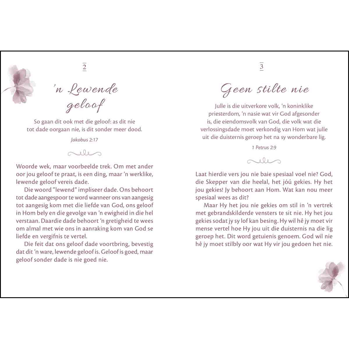 Mini Oordenkings Vir Vroue (Sagteband)