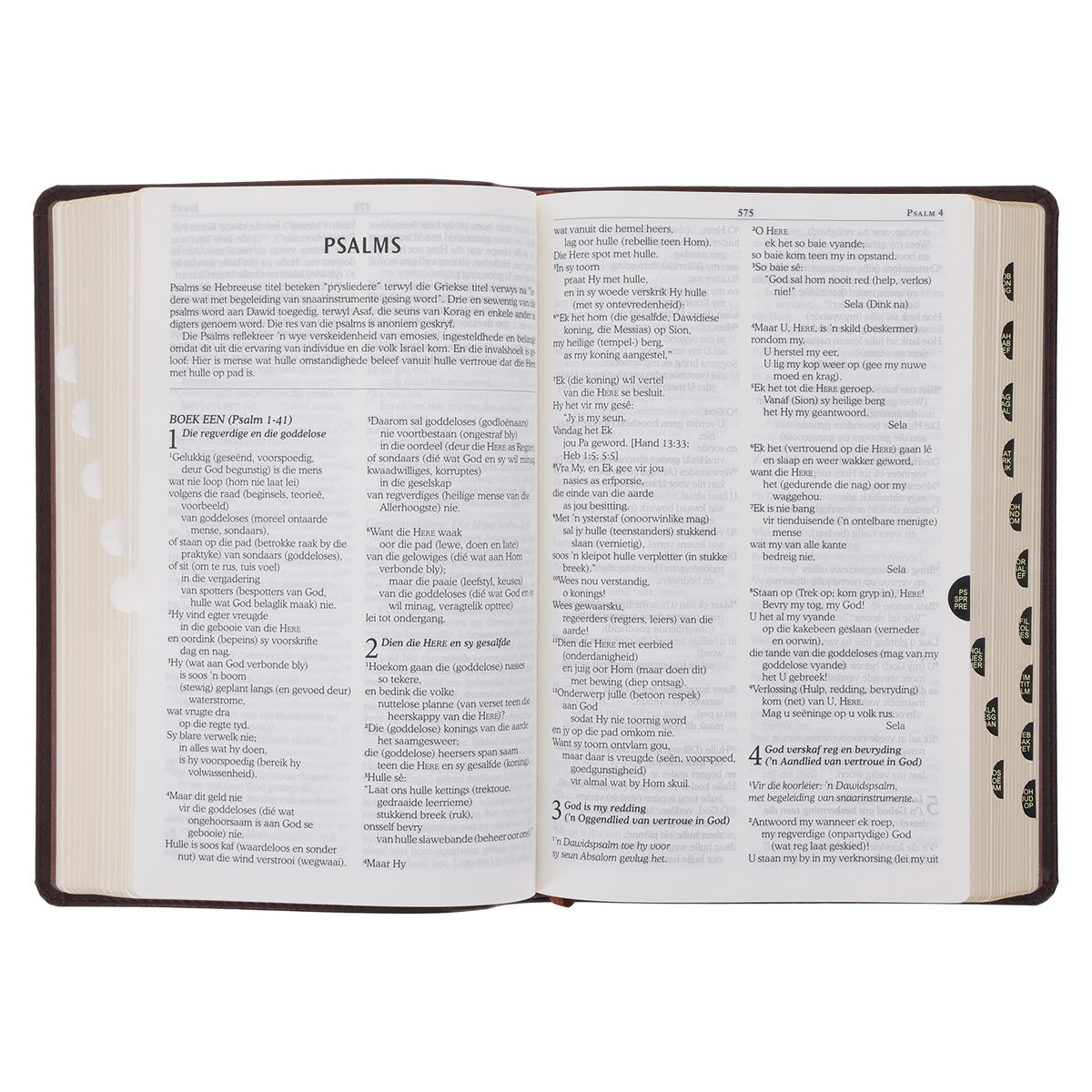 NLV Donkerbruin Kunsleer Toeligtingsbybel