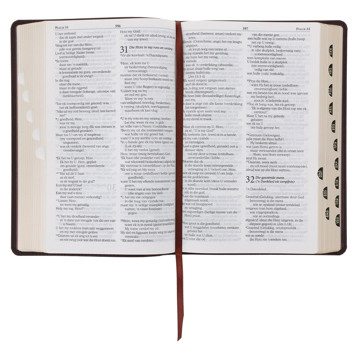 NLV Donkerbruin Kunsleer Toeligtingsbybel