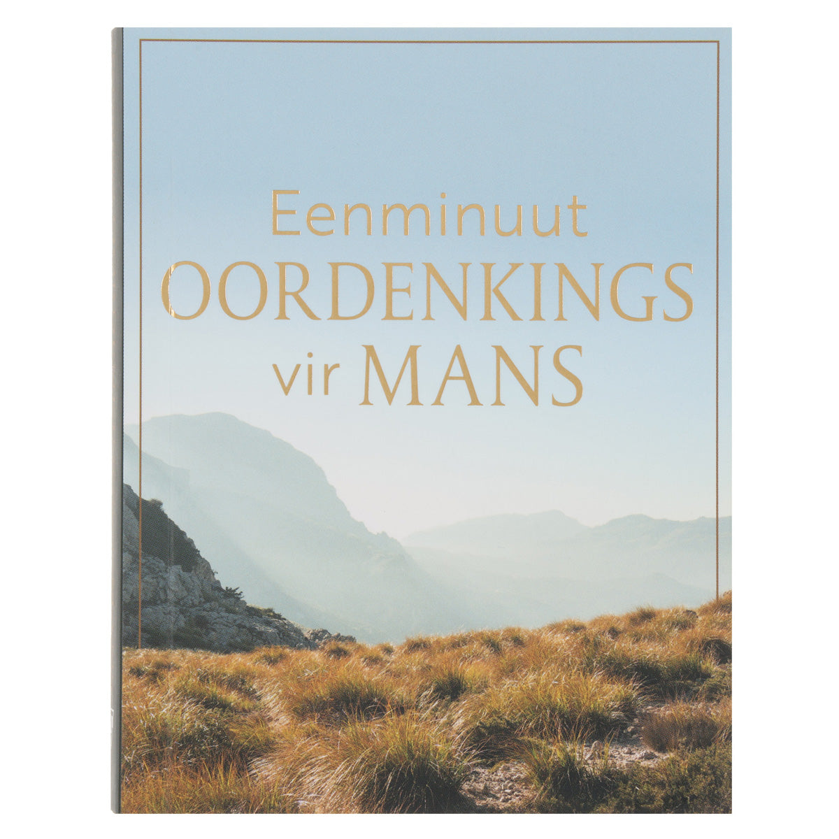 Eenminuut-Oordenkings vir Mans (Sagteband)