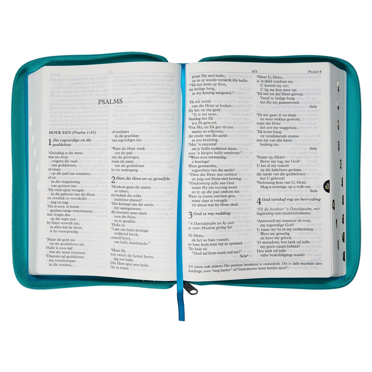 NLV Blougroen Kunsleer Bybel Grootdruk Met Ritssluiter & Duimgrepe