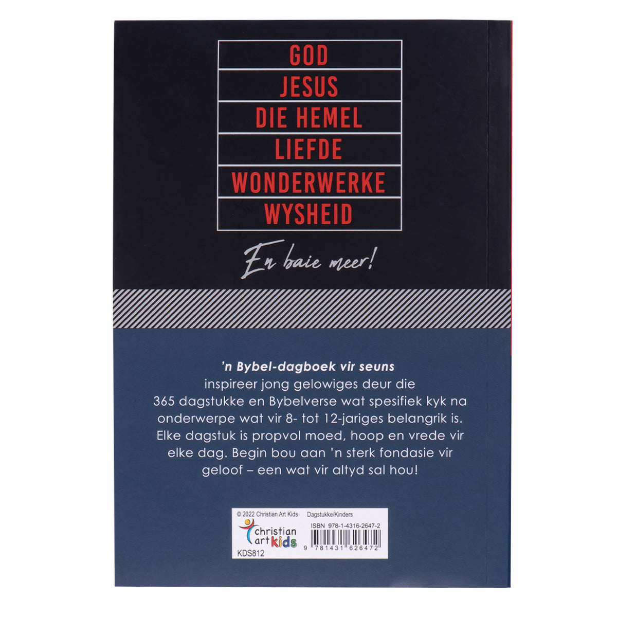 'N Bybeldagboek Vir Seuns (Sagteband)