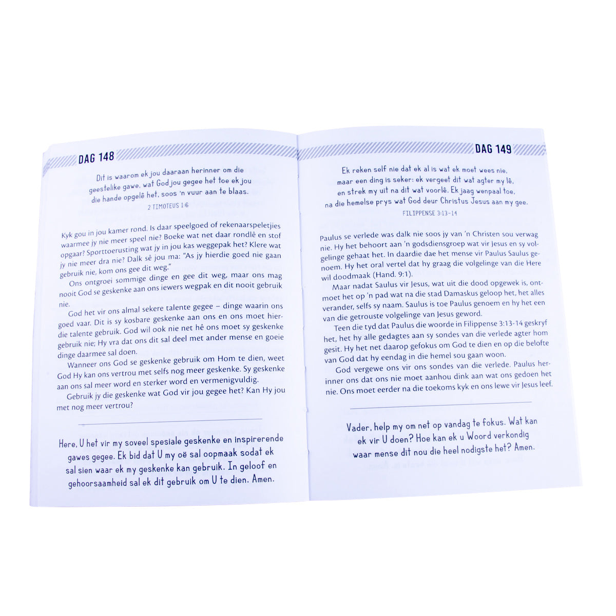 'N Bybeldagboek Vir Seuns (Sagteband)