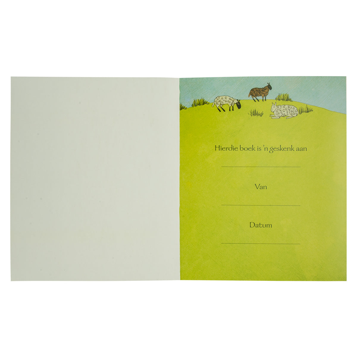 My Jesus-Storiebybel (Sagteband)