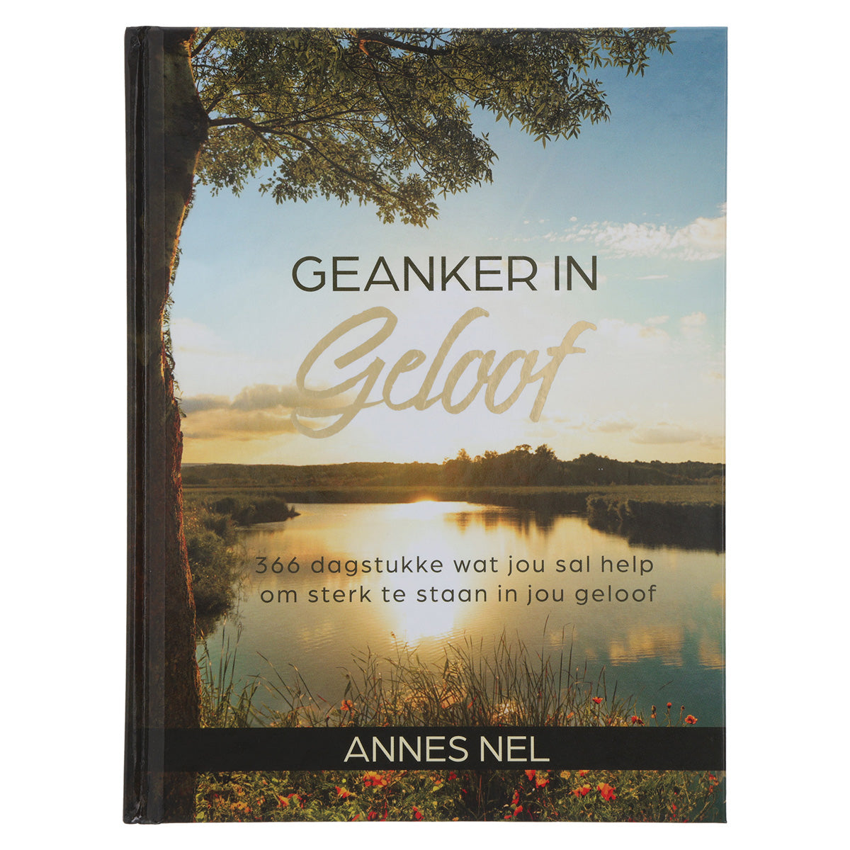 Geanker in Geloof: 366 Dagstukke wat Jou Sal Help om Sterk te Staan in Jou Geloof (Hardeband)