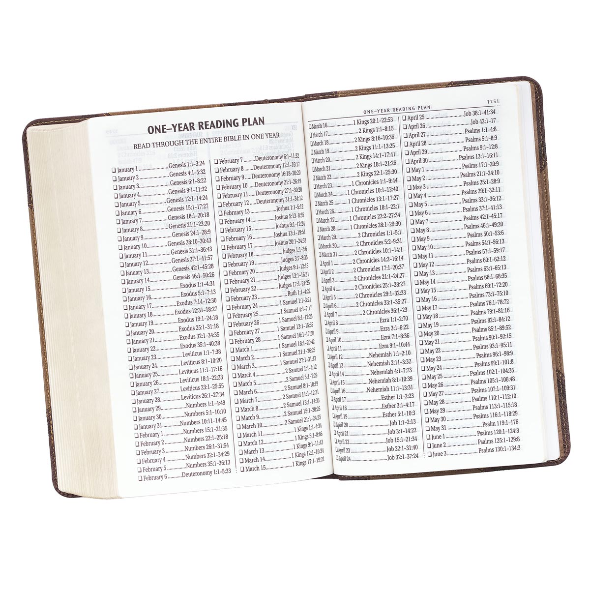 KJV Tan & Brown Faux Leather Standard Bible Giant Print Red Letter