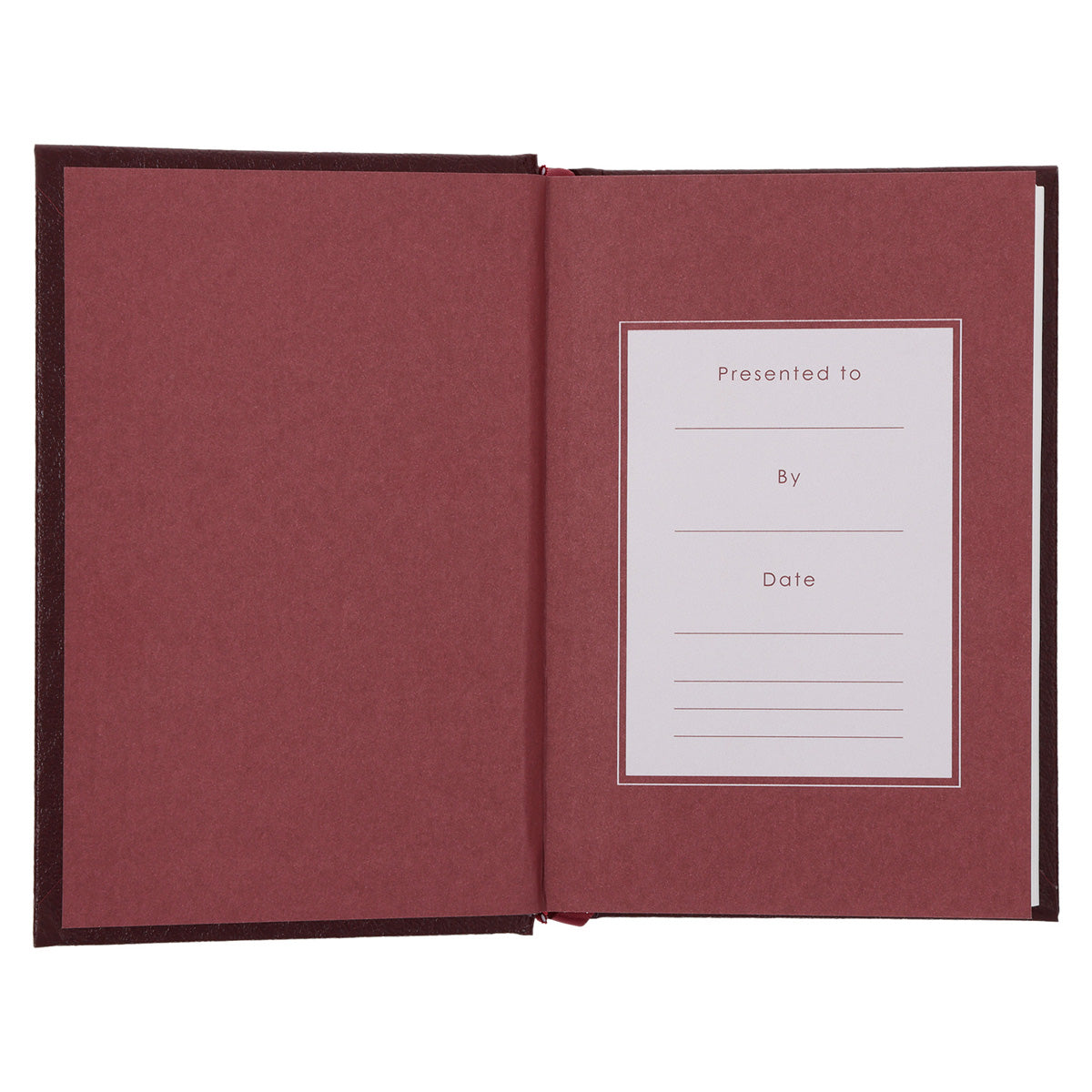 NLT Compact Bible Burgundy Hardcover
