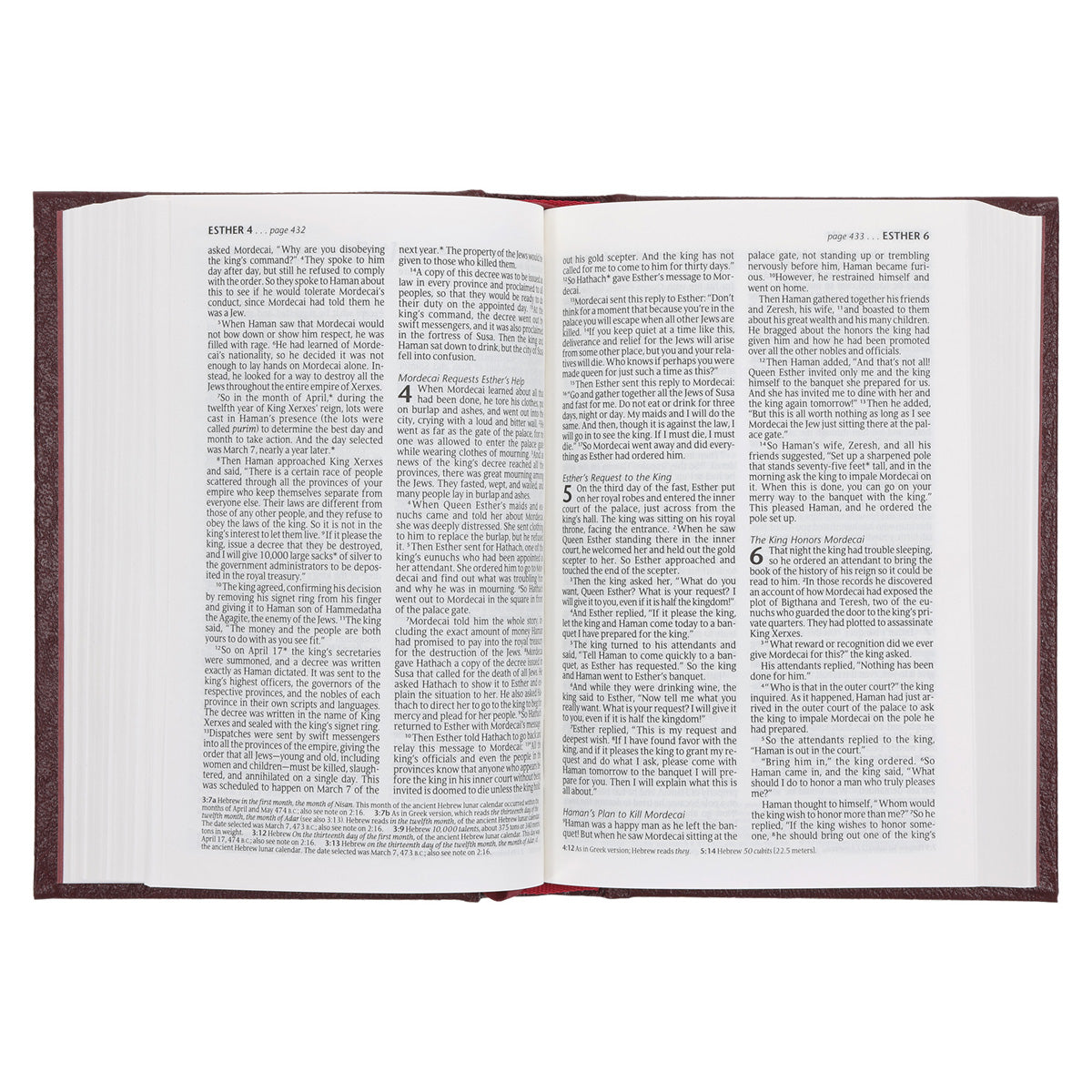 NLT Compact Bible Burgundy Hardcover