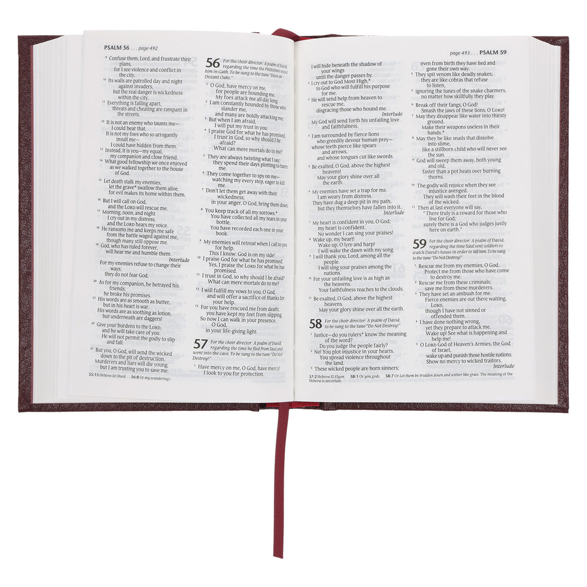 NLT Compact Bible Burgundy Hardcover