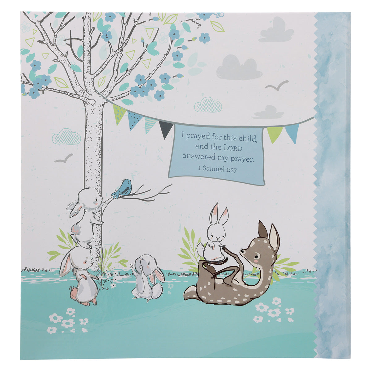 Our Baby Boy's First Year (Padded Hardcover)