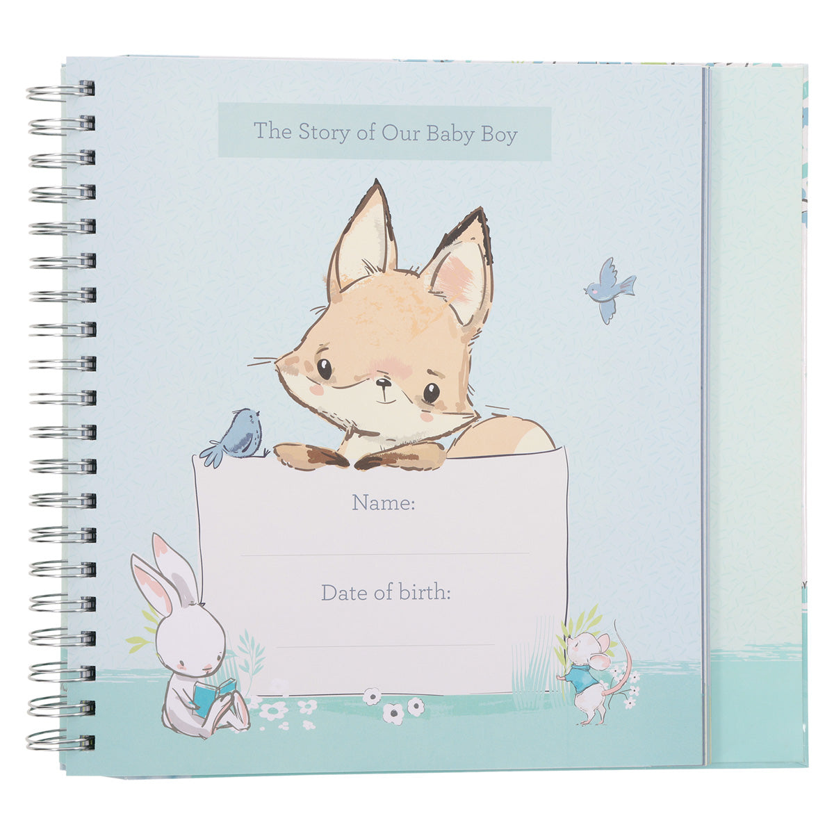 Our Baby Boy's First Year (Padded Hardcover)