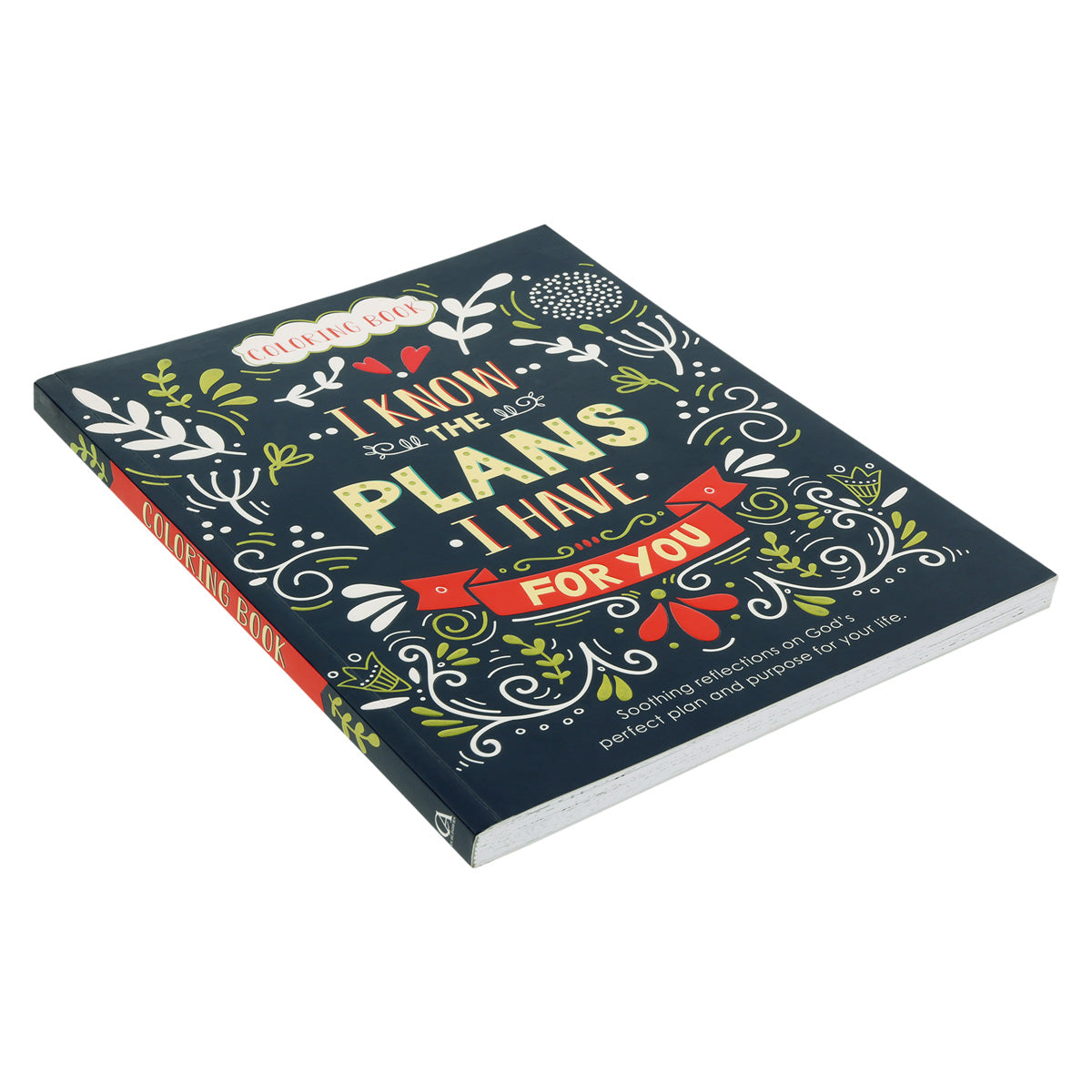 I Know The Plans Coloring Book (Paperback)