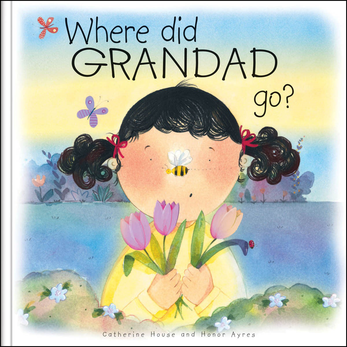 Where Did Grandad Go? (Paperback)