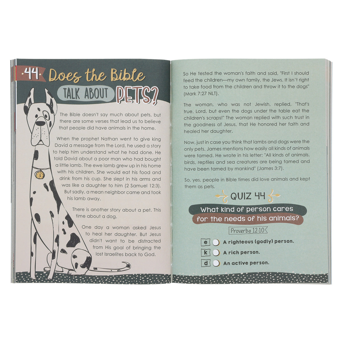 Bible Questions And Answers For Kids (Paperback)