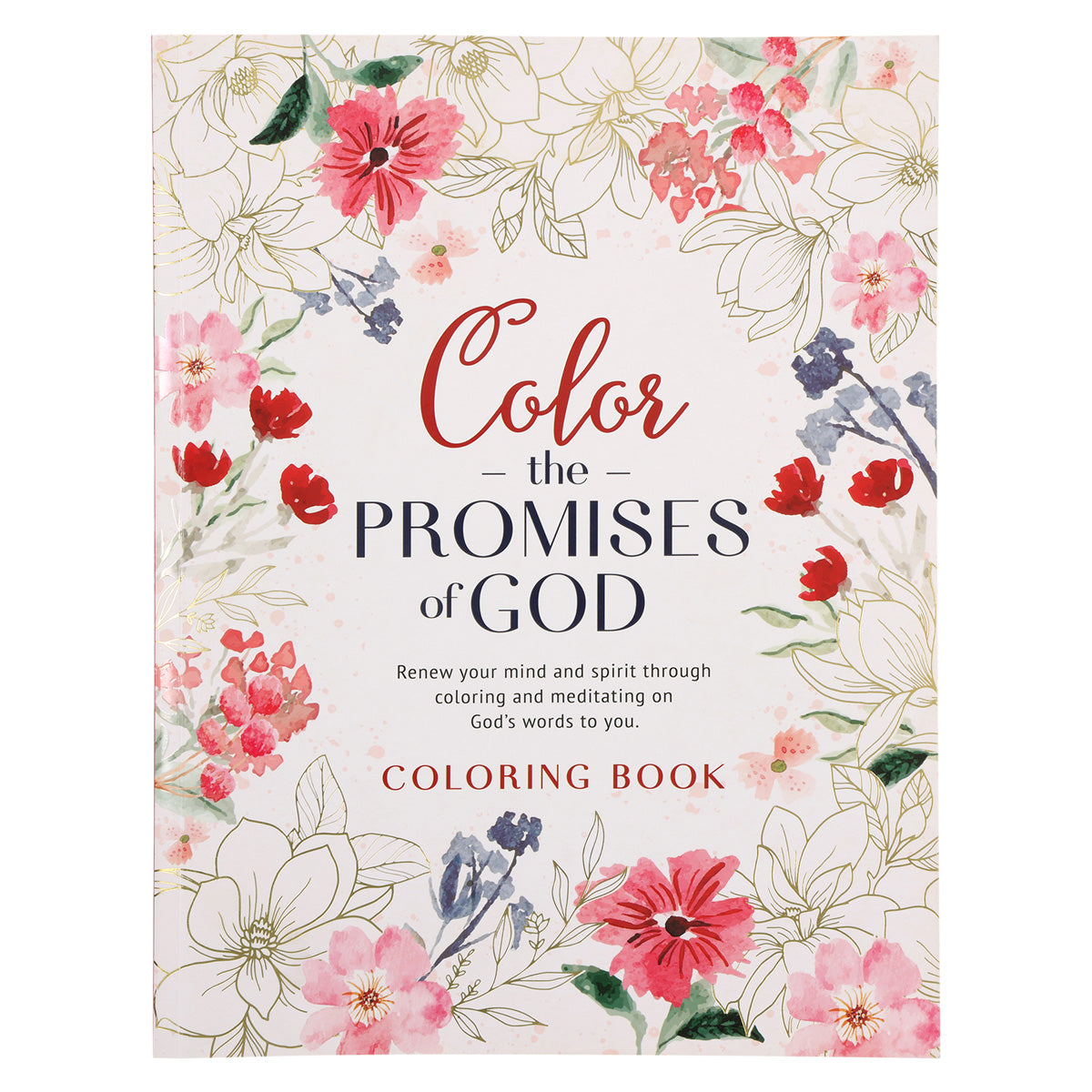Color The Promises Of God (Paperback)
