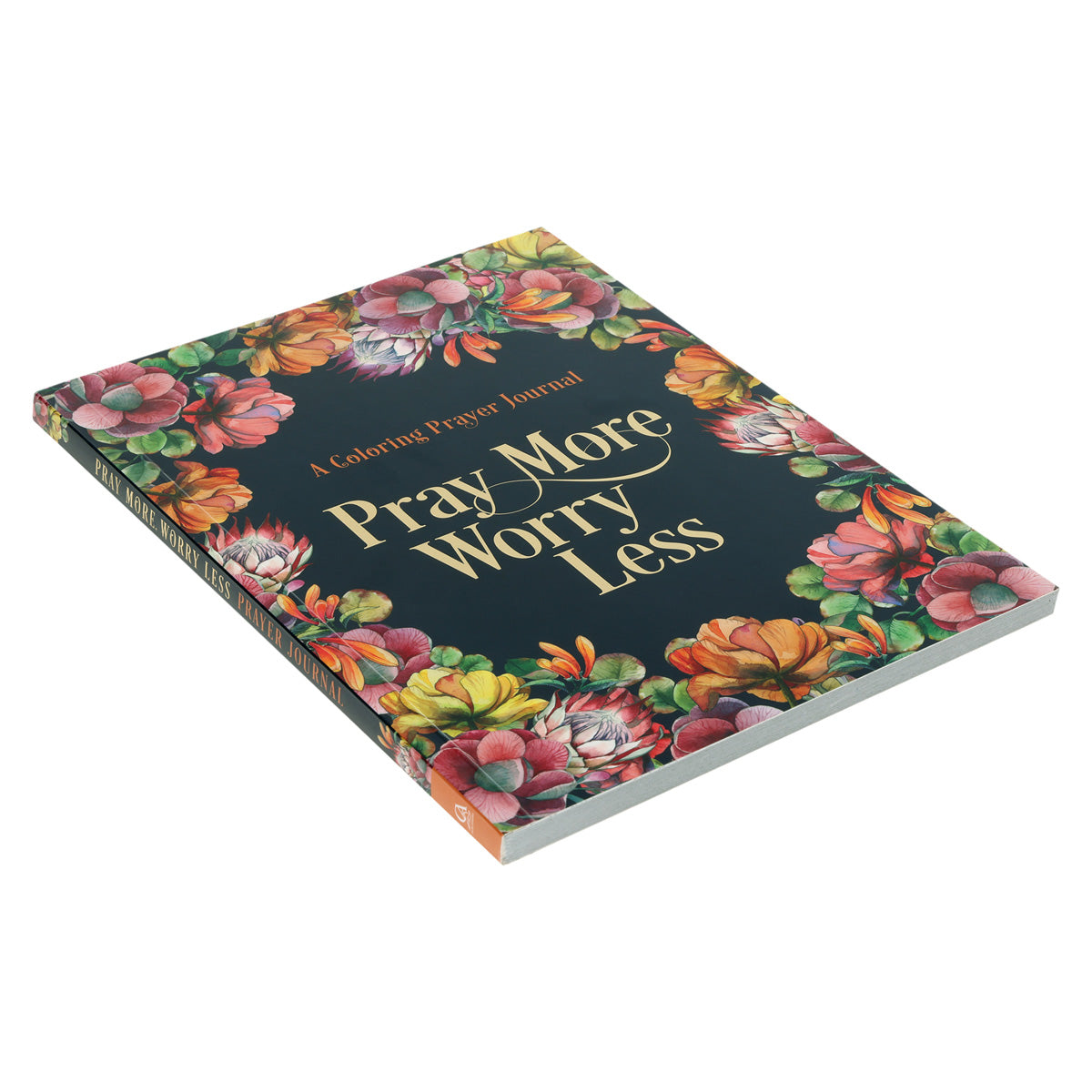 Pray More Worry Less Coloring Prayer Journal (Paperback)