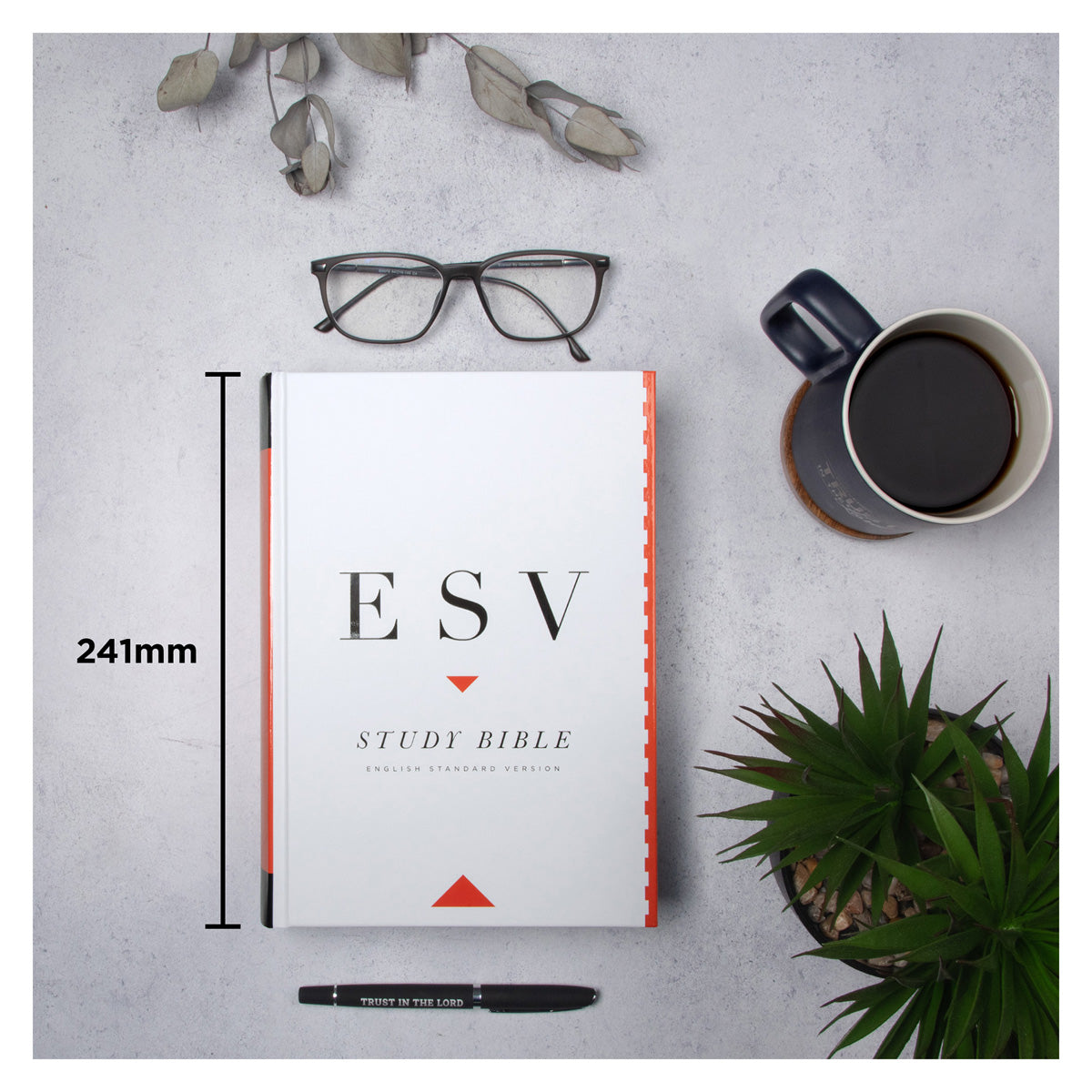 ESV Study Bible With Jacket (Hardcover)
