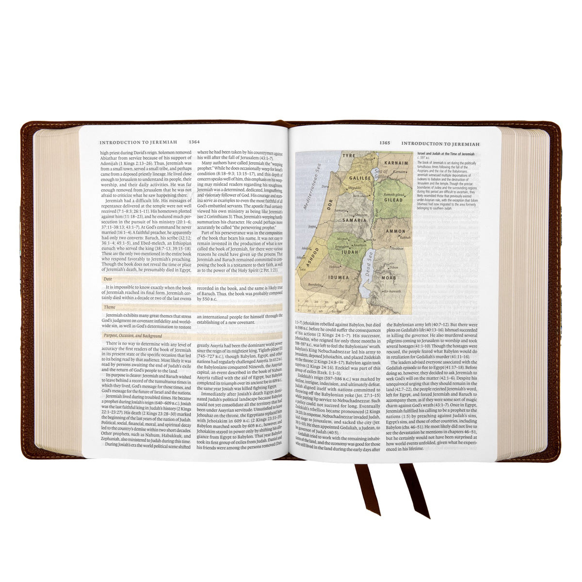 ESV Deep Brown Cowhide Leather Study Bible