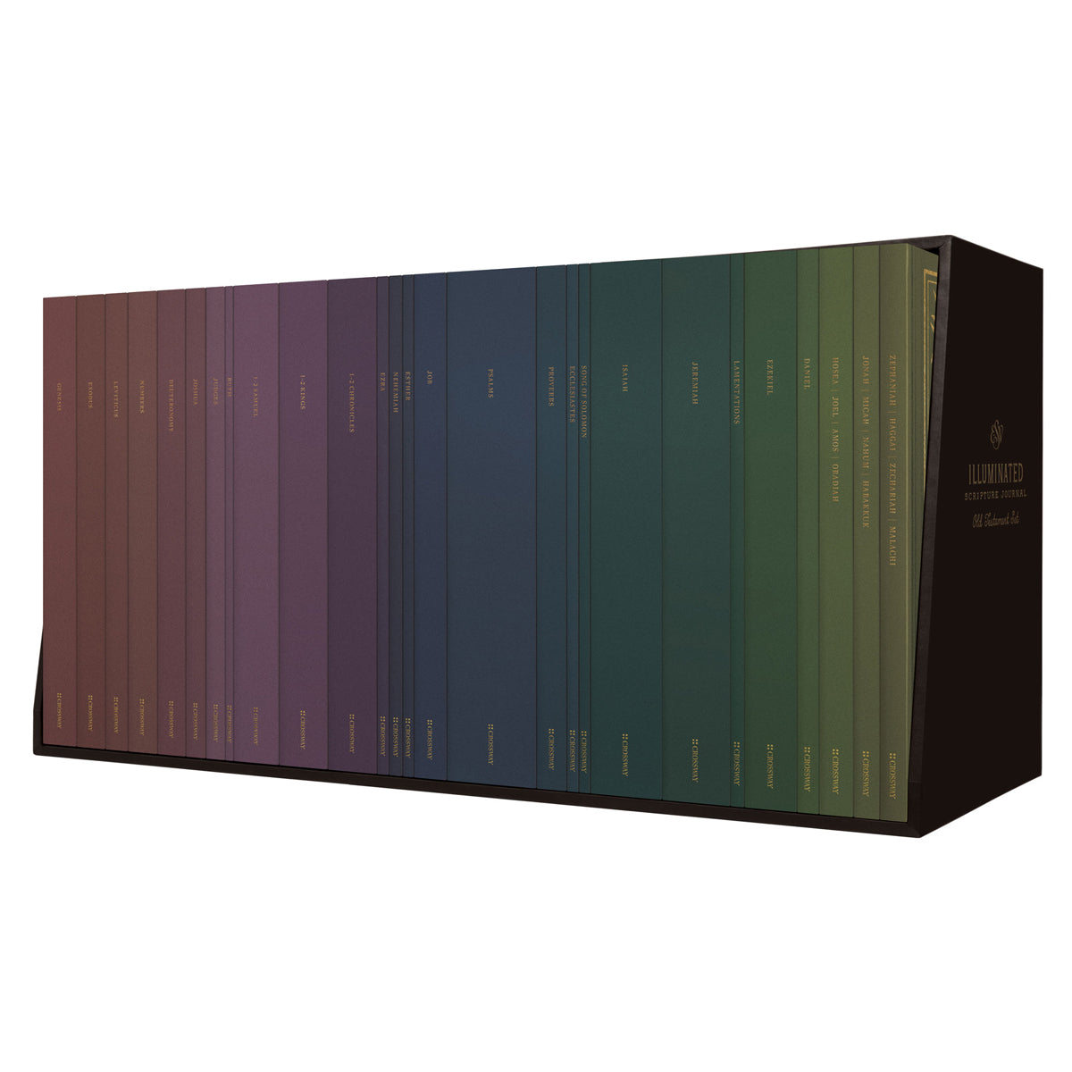 ESV Paperback Illuminated Scripture Journal Old Testament Set