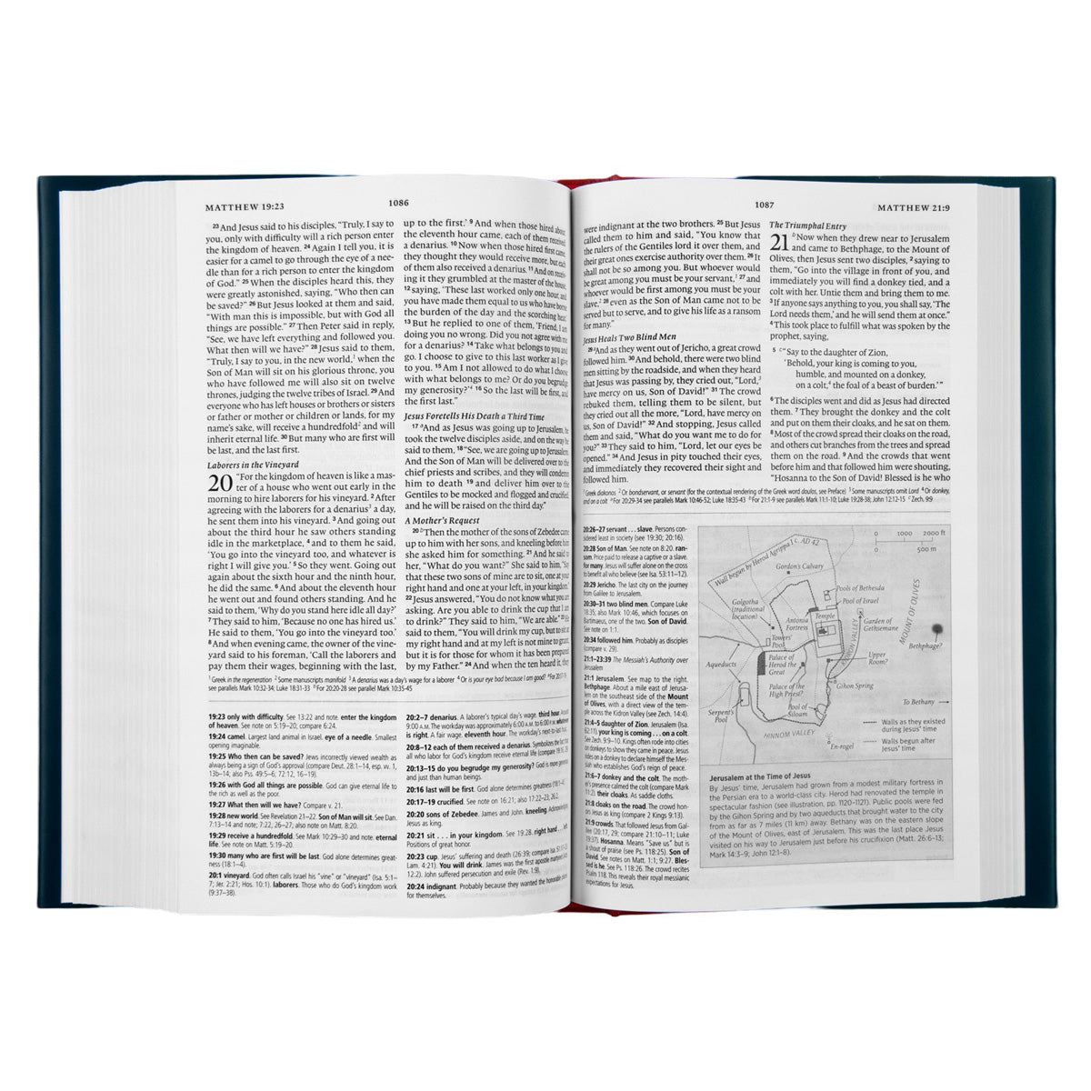 ESV Concise Study Bible (Hardcover)