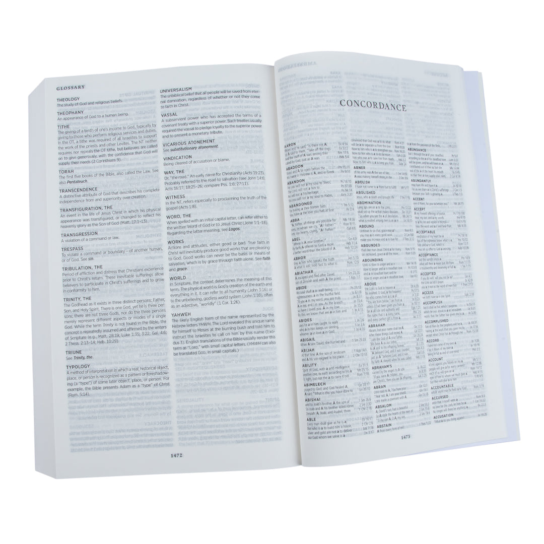 ESV Concise Study Bible, Economy Edition (Paperback)