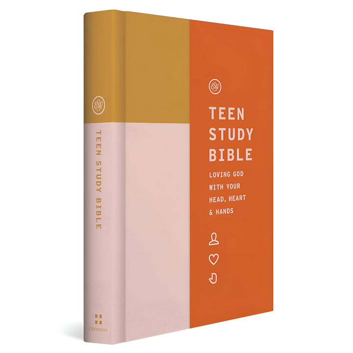 ESV Teen Study Bible Desert Sun (Hardcover)