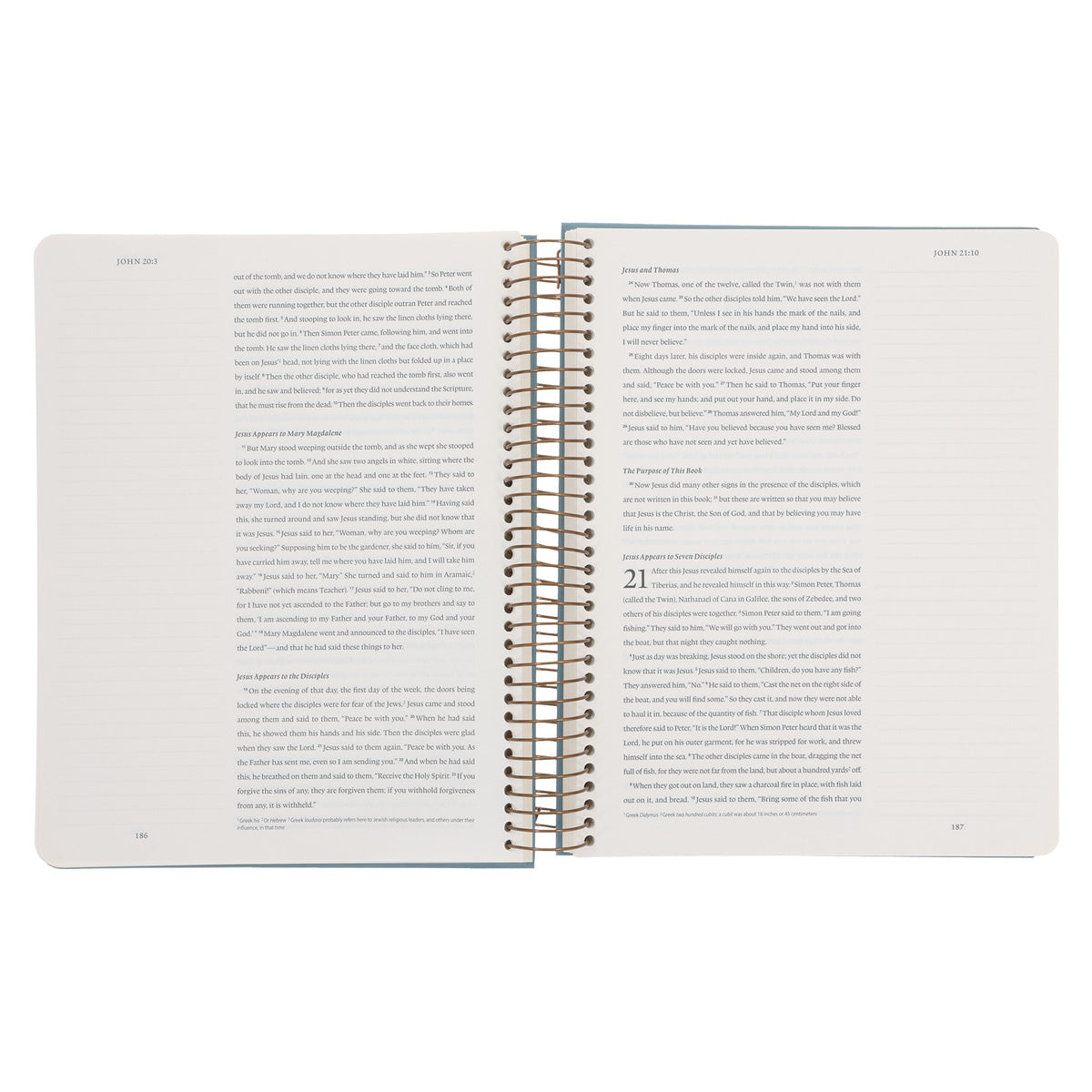 ESV Spiral-Bound Hardcover New Testament Journaling Bible