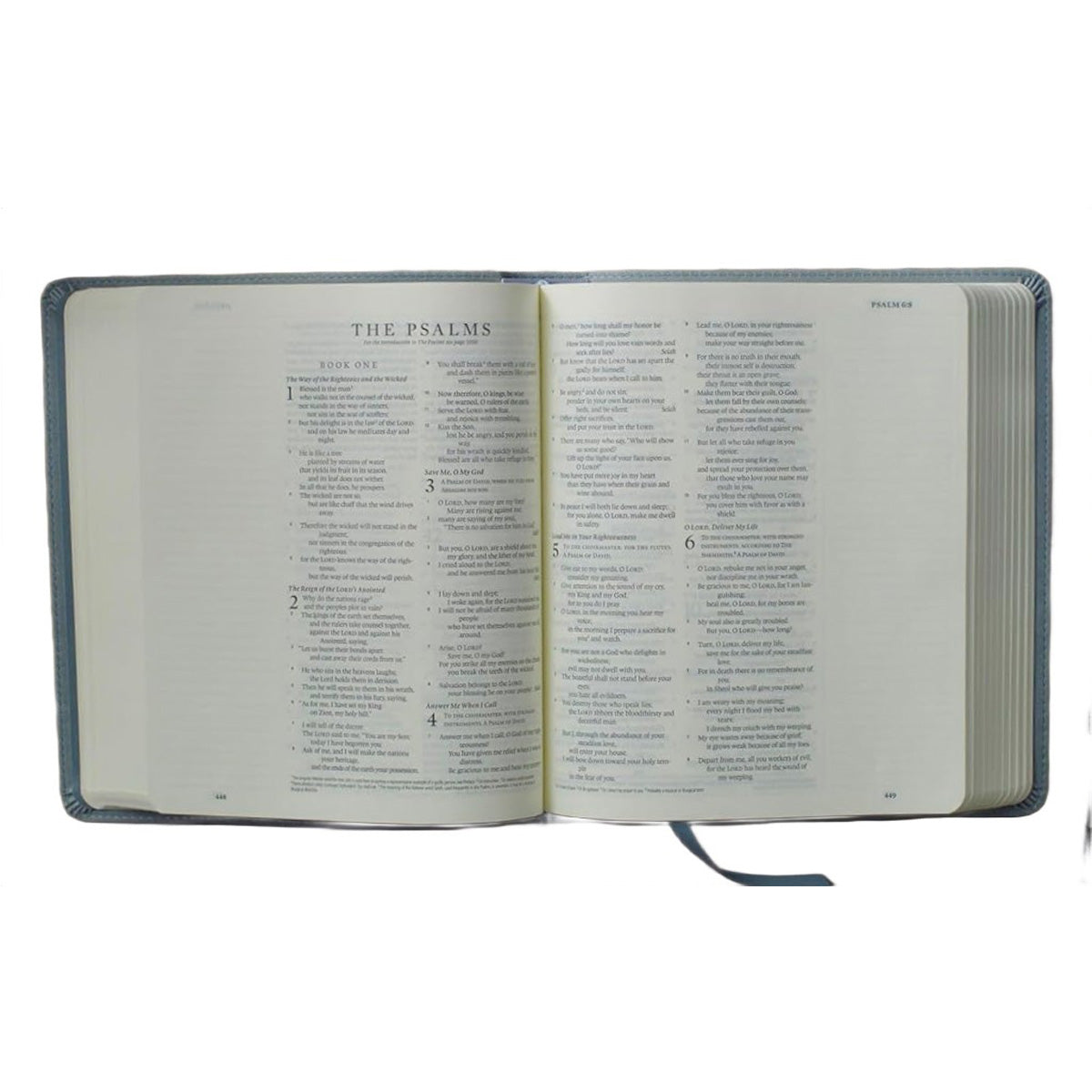 ESV Paris Sky Emblem Design Imitation Leather Journaling Bible