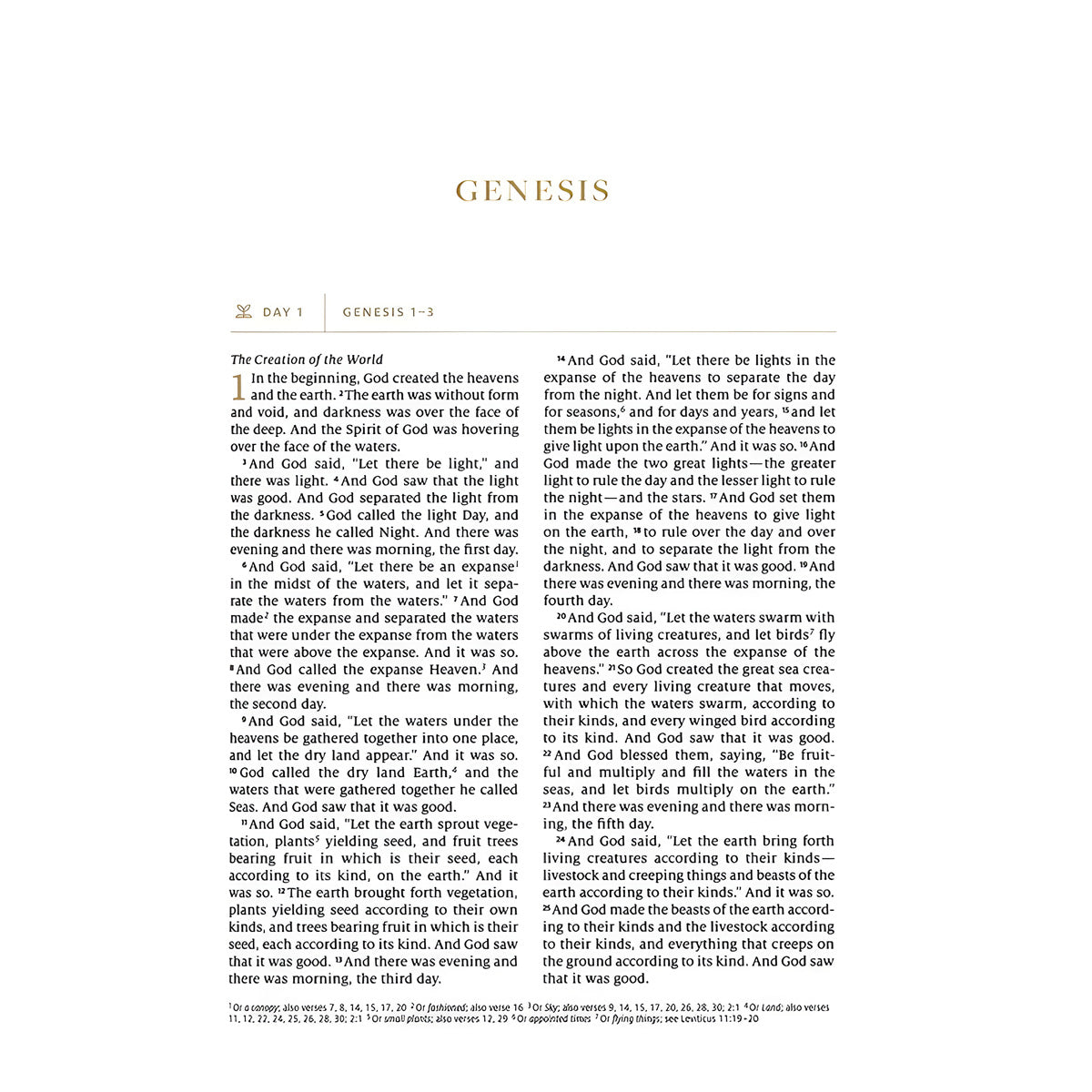 ESV White Hardcover Everyday Gospel Bible