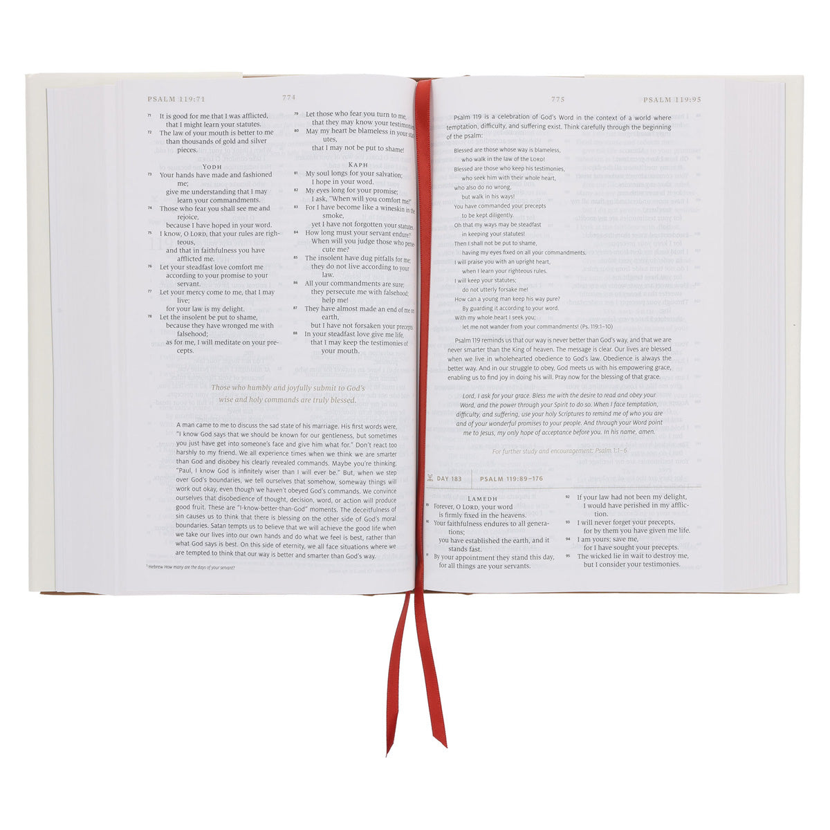 ESV White Hardcover Everyday Gospel Bible