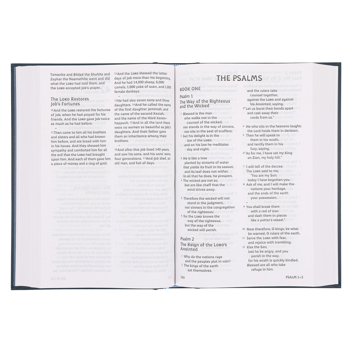 ESV Hardcover Dyslexia-Friendly Edition Holy Bible