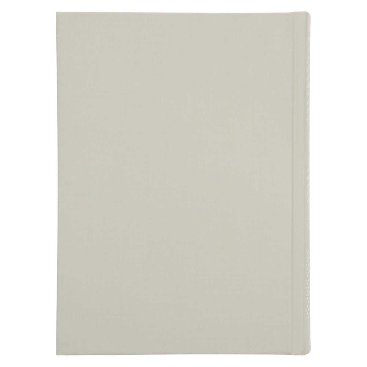 CSB She Reads Truth Bible Beige (Hardcover)