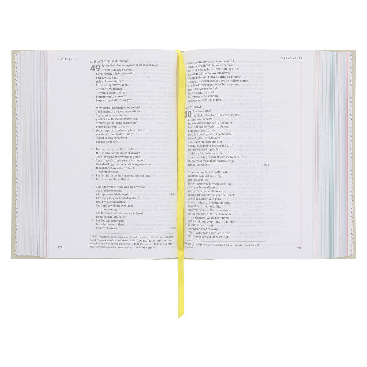 CSB She Reads Truth Bible Beige (Hardcover)