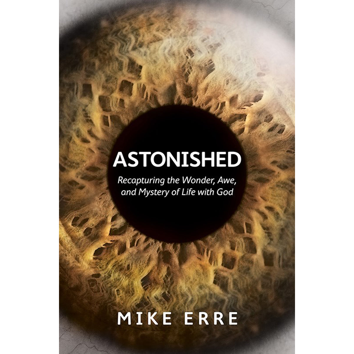 Astonished (Paperback)