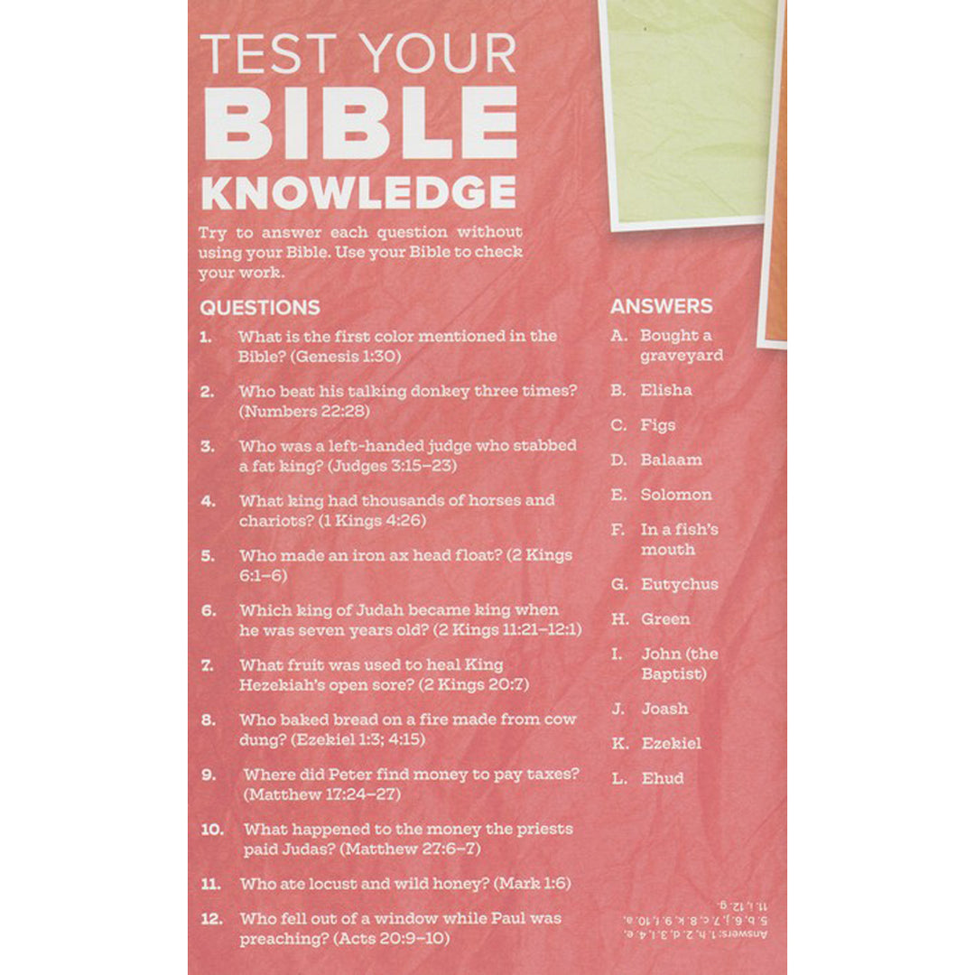 CSB Kids Bible (Hardcover)