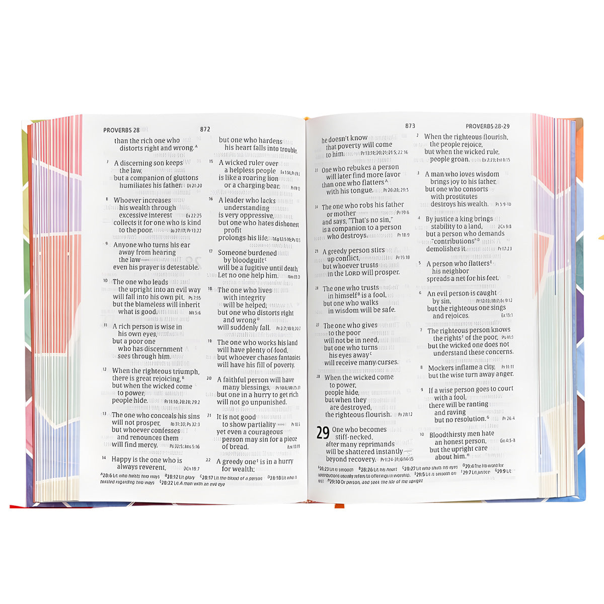 CSB Kids Bible (Hardcover)
