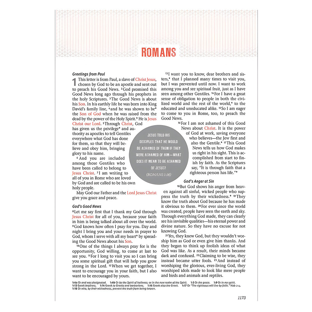 NLT Pink Imitation Leather Jesus-Centered Bible