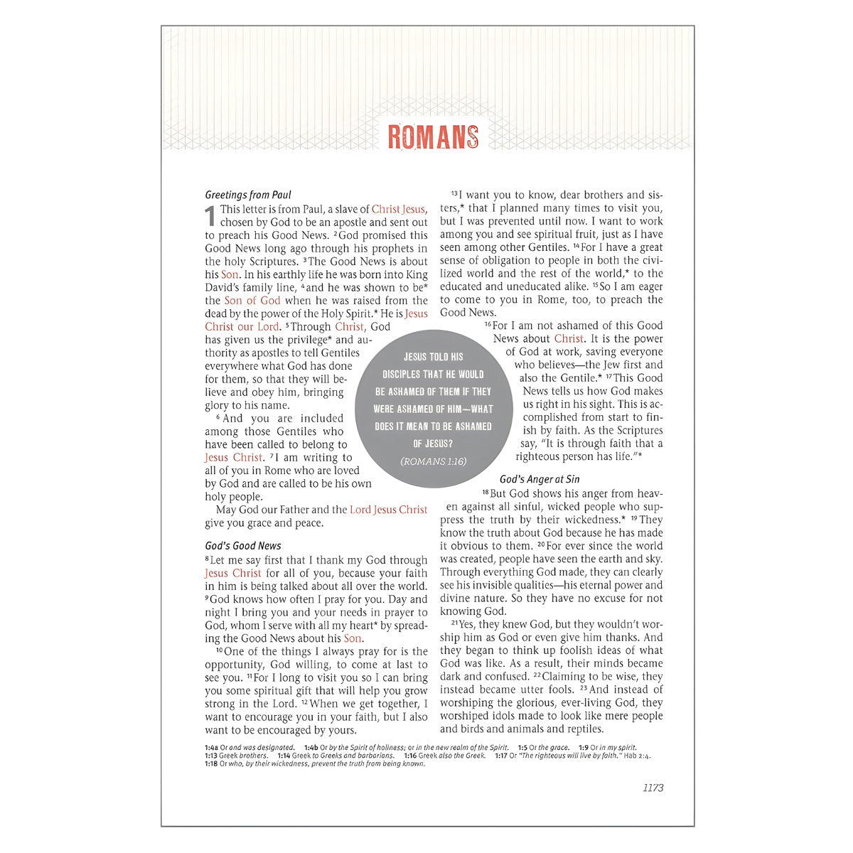 NLT Dark Brown Imitation Leather Jesus-Centered Bible