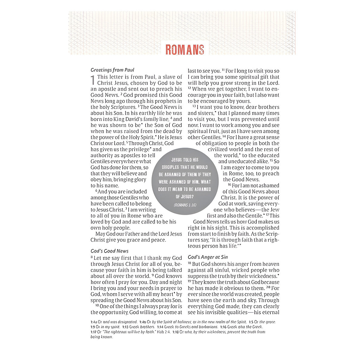 NLT Black Imitation Leather Jesus-Centered Bible Large Print