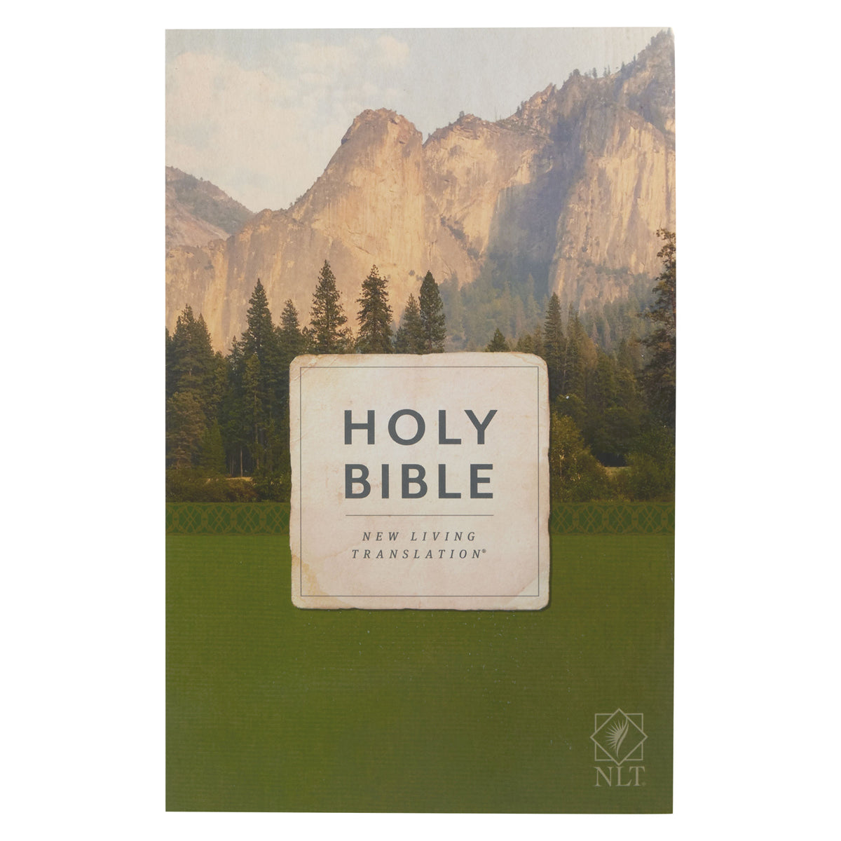 NLT Economy Outreach Bible (Paperback)