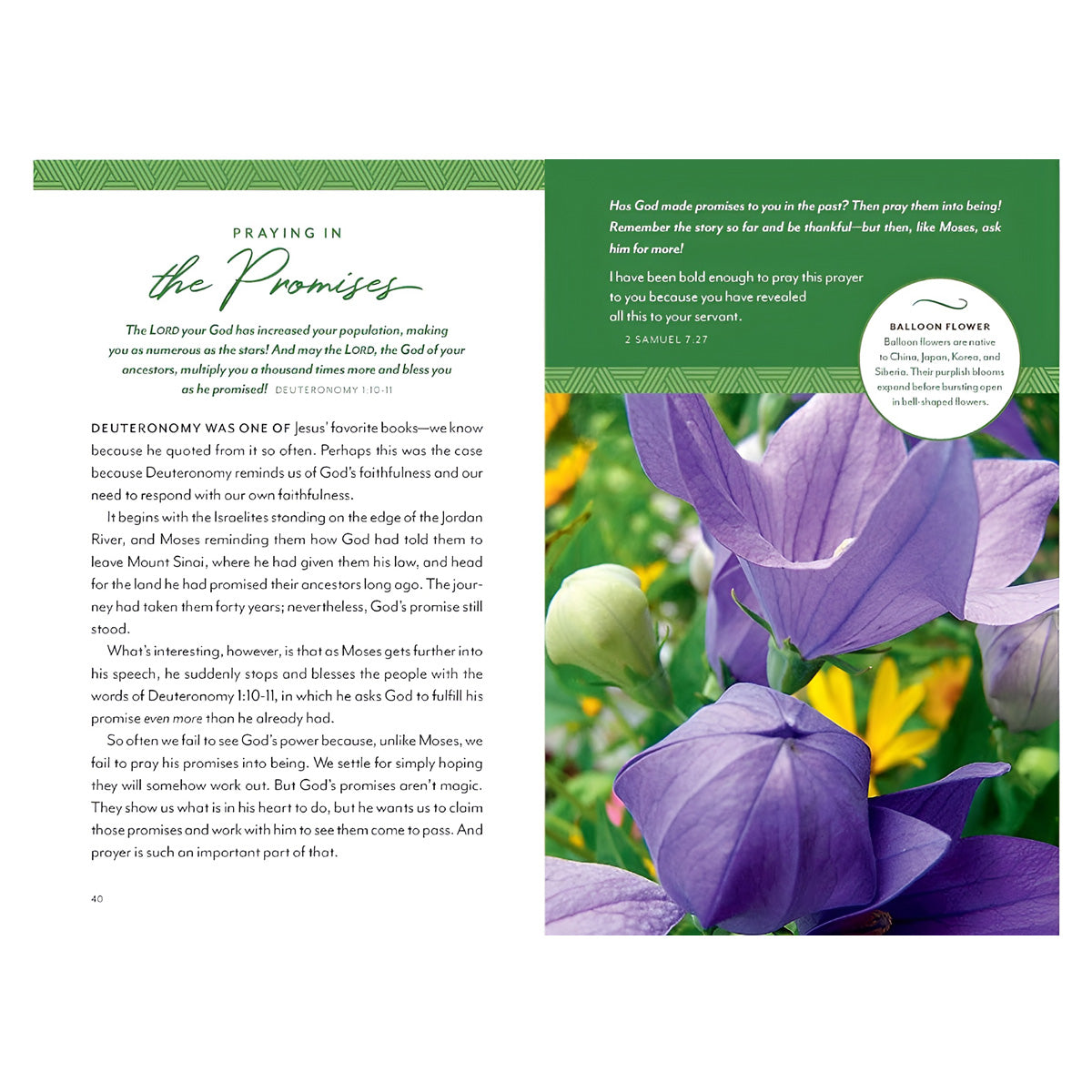 Flourish Devotions For A Well Tended Heart (Hardcover)