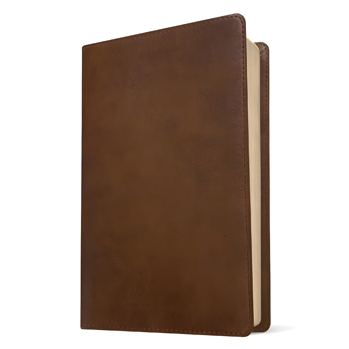 NLT Filament Thinline Reference Bible Red Letter Rustic Brown (Imitation Leather)