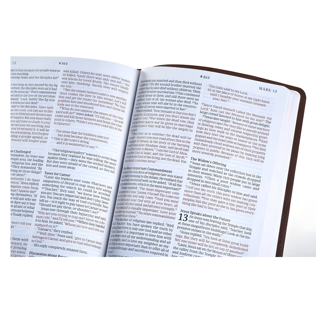 NLT Filament Thinline Reference Bible Red Letter Rustic Brown (Imitation Leather)