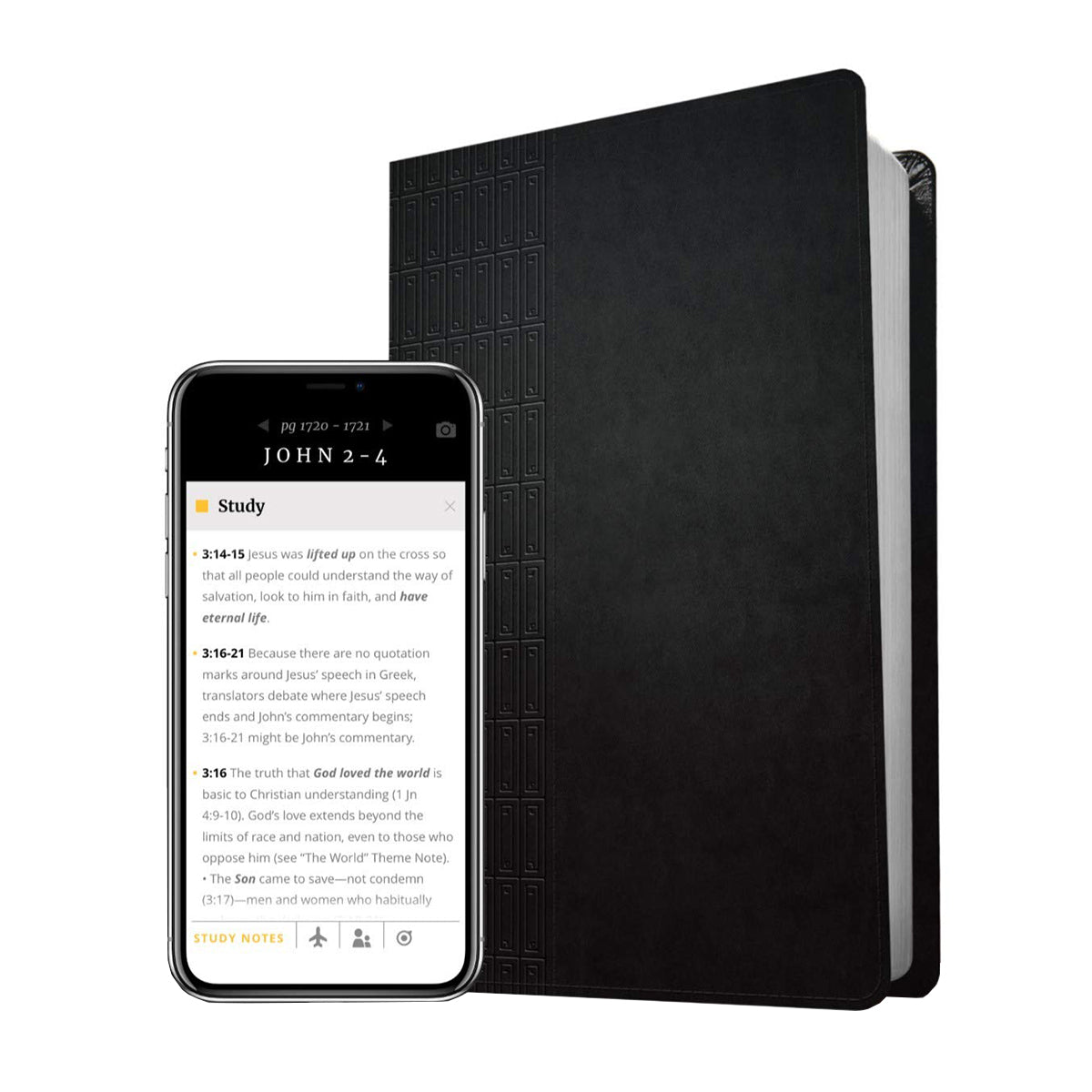 NLT Filament Thinline Reference Bible Large Print Red Letter Cross Grip Black (Imitation Leather)