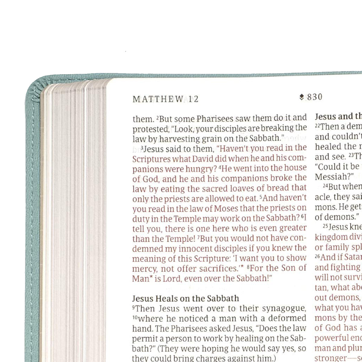 NLT Filament Thinline Reference Bible Large Print Red Letter Floral Leaf Teal (Imitation Leather)